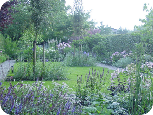 tuinonderhoud