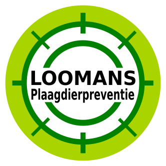 logo 11